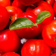 ACEROLA 1L